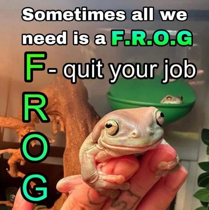 someone is a frog